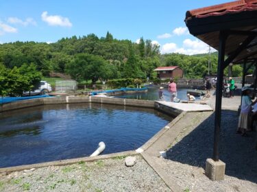 ファミリーにおすすめ！地蔵原釣り堀センターがとてもよかった話